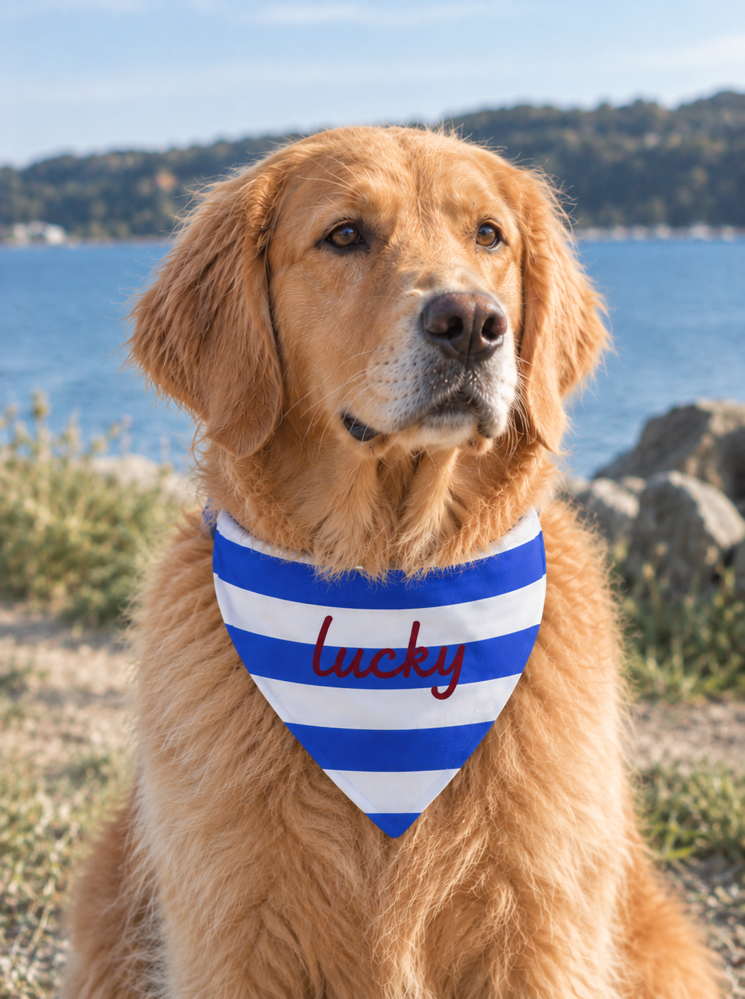 Bandana Azul de Rayas para Mascotas con Texto Personalizado