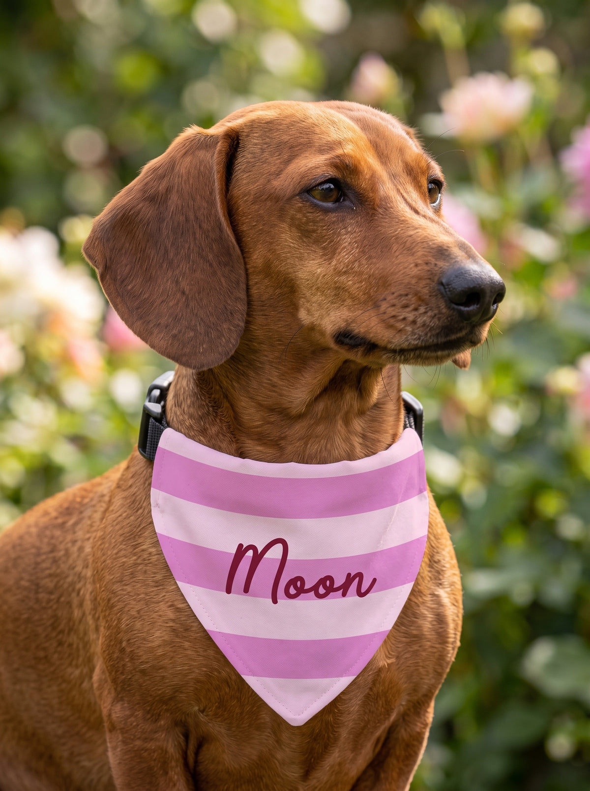 Pink Striped Pet Bandana with Custom Text